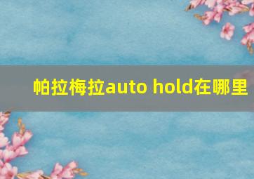 帕拉梅拉auto hold在哪里